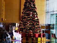 -青岛海尔洲际酒店