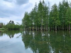 -白鹭湾湿地公园
