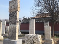 -药王庙(安国市)