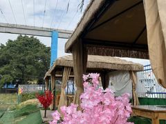 -长洲岛