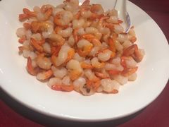 清炒河虾仁-老吉士酒家(天平路店)