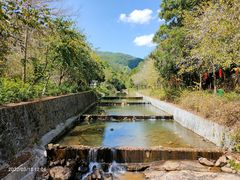 -广州白江湖森林公园