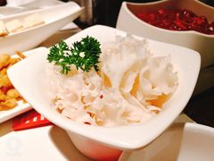 绣球菌-海底捞火锅(锦艺城店)
