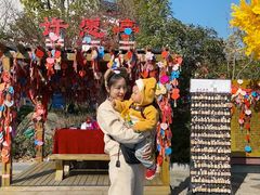 -合肥融创乐园