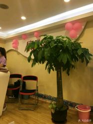 点击看大图 -康乃馨·馨悦佳人(鹭江店)