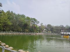 -莲湖公园