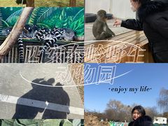 -西安秦岭野生动物园