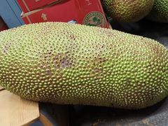 -新鸿港水果市场