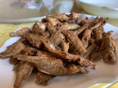 -渔家灯火娱乐城(前进西路店)