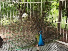 -星湖特色餐厅· 三岔湖环球融创天堂洲际酒店