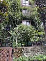 点击看大图 -贞禾医美·连锁