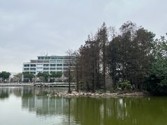 -顺德职业技术大学