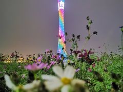 -广州塔