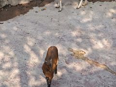 -长鹿旅游休博园