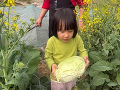 -小洞天柴火土菜馆