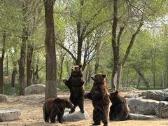 -北京野生动物园