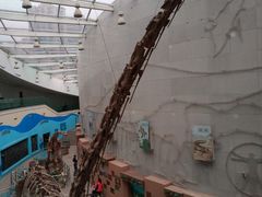 -陕西自然博物馆