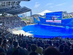 -上海海昌海洋公园-停车场