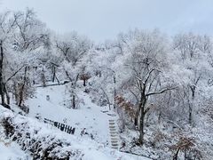 -长春净月潭风景名胜区