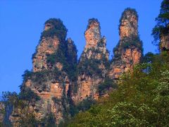 -王顺山国家森林公园