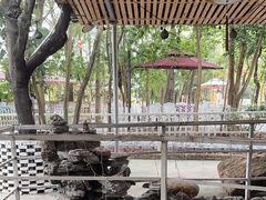 -陶缘一号·四季缘·老字号顺德菜·户外婚礼家宴(西滘店)