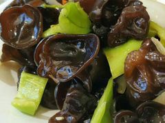 凉拌洋葱木耳-孟记粥铺·家常菜·烧烤·粥(亚运村店)