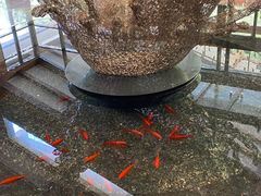 -十分到家家电清洗杭州