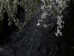 -中国茶叶博物馆(双峰馆区)