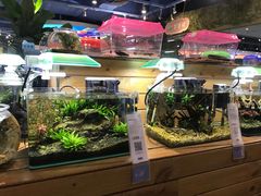 -龟与熊猫宠物公园(南坪店)