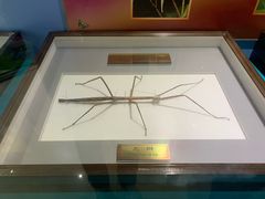 -上海昆虫博物馆