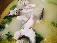 -七采菌园·野生菌石锅鱼(环城北路店)