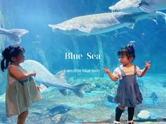 -华夏文旅海洋公园