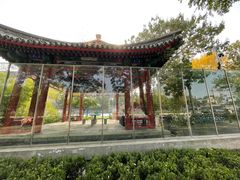 -北京市东城区东四九条小学