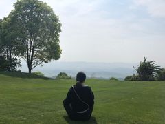 -铁山坪森林公园