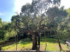 -草庵摩尼教遗址公园