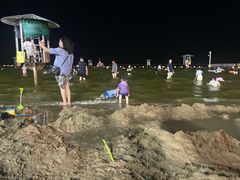 -碧海金沙