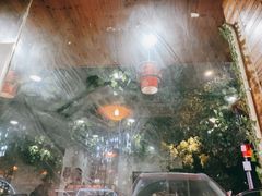 -三里屯土灶炖公鸡地锅鸡(江东店)