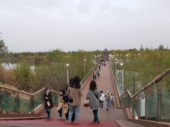 -伊犁河风景区