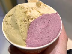 莓果与柑橘-Dip in Gelato(富民路店)