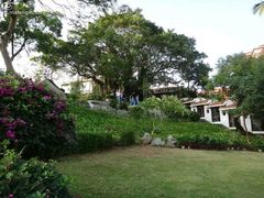 -鼓浪屿钢琴博物馆