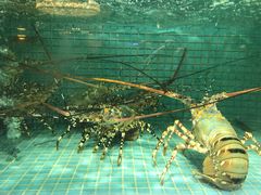 -徐记海鲜·宴会(大唐西市|丰庆店)
