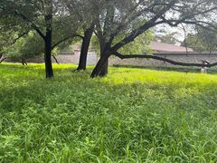 -老三羊汤【北兴隆街店】