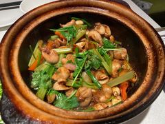 啫啫石斑鱼扣-煲煲好(朝阳门店)