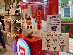 -石排湾郊野公园