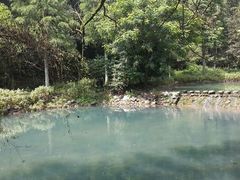 android_upload_pic-灵栖洞天