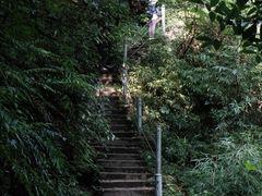 -龙窝子