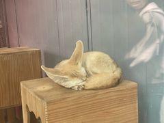-无锡动物园·太湖欢乐园
