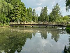 -溱湖国家湿地公园