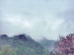 门面-Local泰莲庭(虹鳟鱼店)
