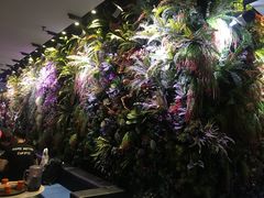 景观位-海底捞火锅(金花路店)